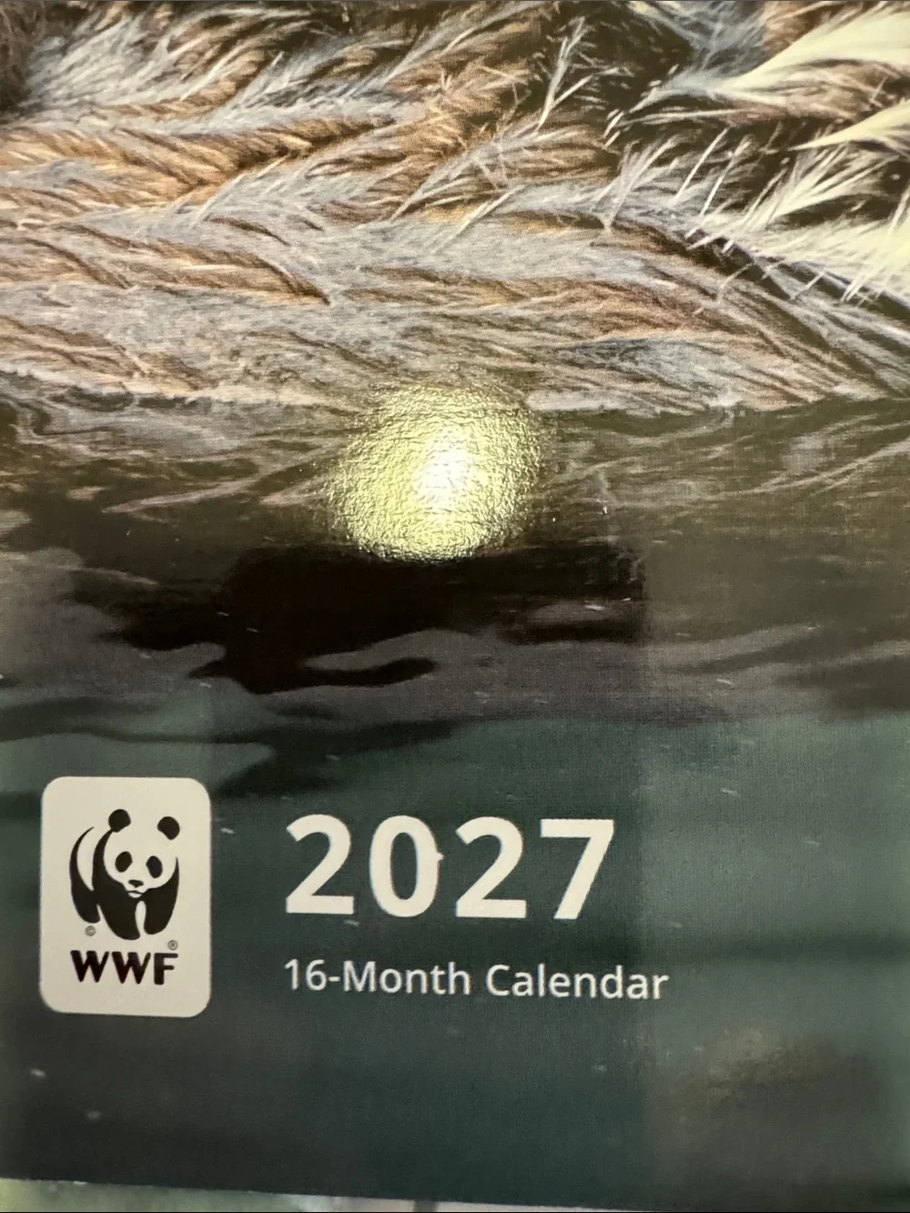 16 month Calendar.  2027